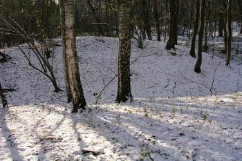 Zachovaná část centrálního pahorku na severní straně ( © Roman Řezáč 11/2004)