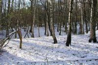Opatovice