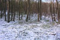 Opatovice