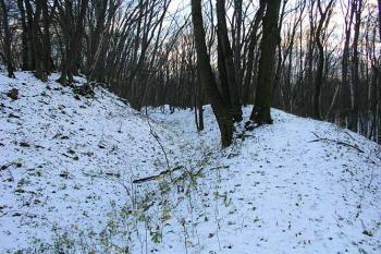 Zachovaný příkop předhradí na západní straně ( © Roman Řezáč 11/2004)