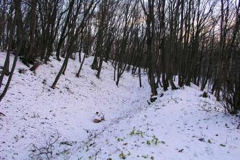 Západní pás příkopu ( © Roman Řezáč 11/2004)