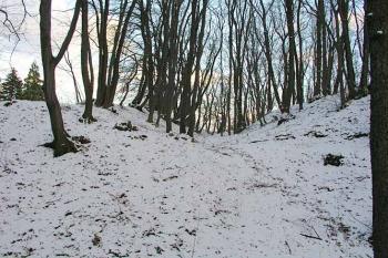 Příkop mezi předhradím a jádrem ( © Roman Řezáč 11/2004)