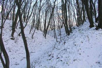 Mohutný vnitřní příkop na jižní straně ( © Roman Řezáč 11/2004)