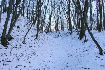 Vnější příkop na jižní straně ( © Roman Řezáč 11/2004)