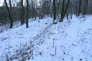 Pásy terénních úprav nejasného stáří na jižní šíji před hradem ( © Roman Řezáč 11/2004)