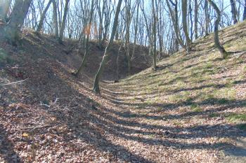 Vnitřní čelní šíjový příkop na jihu, Vlevo val, vpravo vlastní hrad (© Dušan Dohňanský  03/2022)