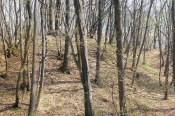 panoramatický pohled na hradní jádro ( © Ondřej Štěpánek 04/2006)