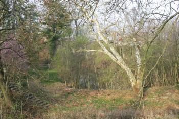 část zám.parku s rybníkem (© D Dohňanský, 04/2014)