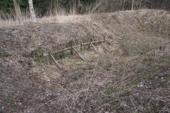  (© Michal Brůža, 03/2011)
