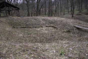  (© Michal Brůža, 03/2011)