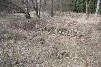  (© Michal Brůža, 03/2011)