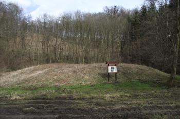  (© Michal Brůža, 03/2011)