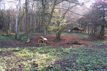 Vyvýšenina tvrze v čele vesnice ( © Roman Řezáč 11/2004)