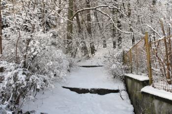Zimní cesta k Rotštejnu (© Josef Filio Šretr, 18.1.2012)