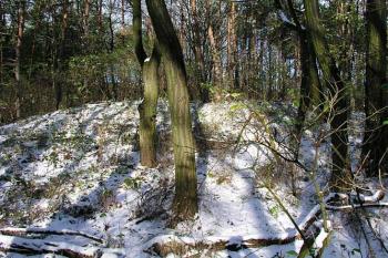 Pohled na vnitřní plochu jádra s valem v čele severní strany ( © Roman Řezáč 11/2004)