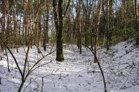 Svárov