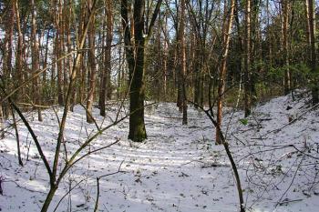 Ztrácející se příkop a val na jižní straně pod jádrem ( © Roman Řezáč 11/2004)