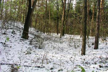 Příkop na jižní straně ( © Roman Řezáč 11/2004)