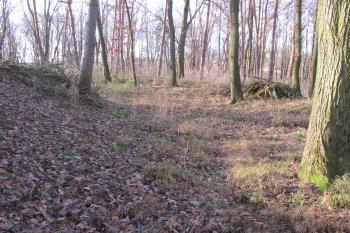 Příkop a val na západě ( © Dušan Dohňanský 12/2019)