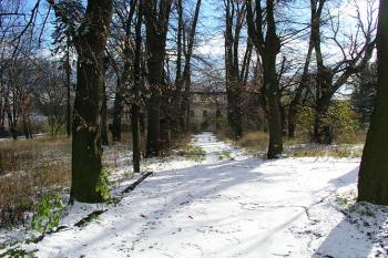 Alej vedoucí k zámku ( © Roman Řezáč 11/2004)