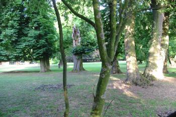 zámecký park je pravidelně spásán ovečkami (© D Dohňanský, 06/2015)