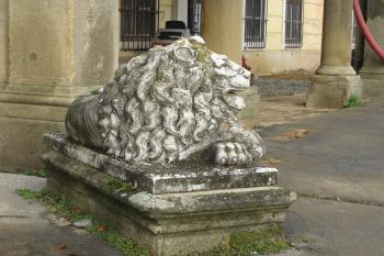 Jeden z dvojice lvů u vstupu ( © Dušan Dohňanský 12/2019)