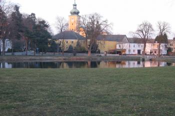 zámecký rybník (© D Dohňanský, 03/2015)