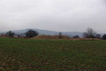 Celkový pohled na tvrziště od západu ( © Roman Řezáč 11/2004)