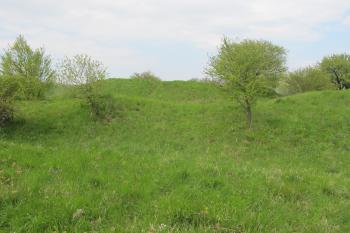 pohled od jz na val a za ním na jádro tvrze (© D Dohňanský, 05/2017)
