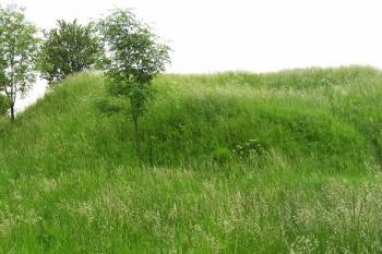 celkový pohled na tvrziště od severovýchodu ( © Jan P. Štěpánek 05/2008)