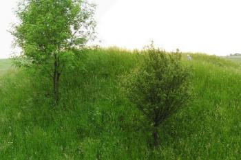 celkový pohled na tvrziště od východu ( © Jan P. Štěpánek 05/2008)