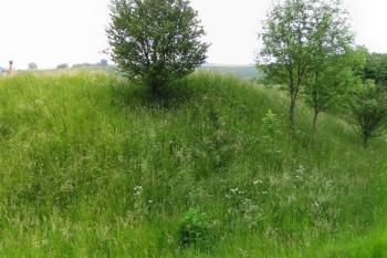 celkový pohled na tvrziště od jihu ( © Jan P. Štěpánek 05/2008)