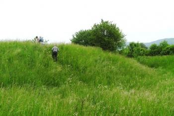 celkový pohled na tvrziště od západu ( © Jan P. Štěpánek 05/2008)