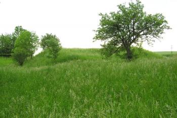 pohled na výrazný pahorek jádra tvrze od východu ( © Jan P. Štěpánek 05/2008)