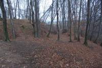Žeranovice