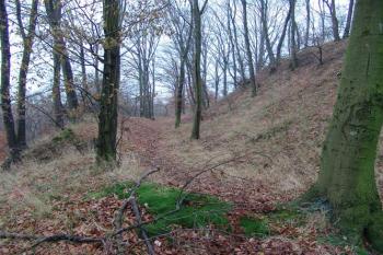 Příkop pod jádrem na severní straně ( © Roman Řezáč 11/2004)
