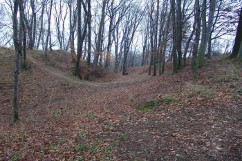 Příkop oddělující hrádek od pole ( © Roman Řezáč 11/2004)
