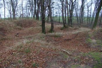 Povrch jádra a prohlubně po možné zástavbě ( © Roman Řezáč 11/2004)