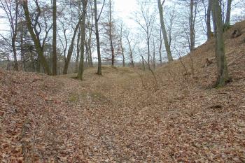 Mělký sev. příkop od západu (© Dušan Dohňanský  01/2022)