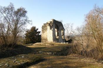 (© Zdeněk Kudrna, 02/2008)