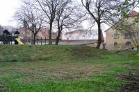 Mořice