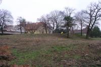 Mořice
