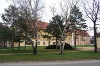 Mořice