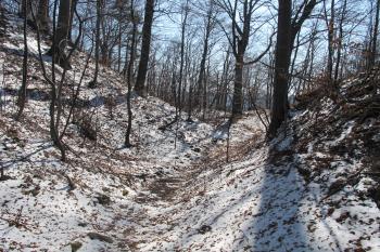 Druhý /vnitřní příkop na západní straně (© Dušan Dohňanský 03/2020)