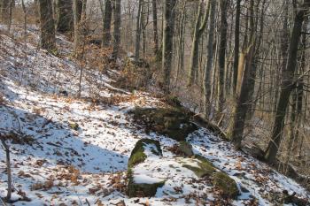 Linie sev.hradby uzavírající boční předhradí (© Dušan Dohňanský 03/2020)