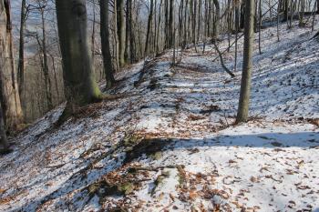Vpravo os sev. hradeb je plocha bočního předhradí (© Dušan Dohňanský 03/2020)