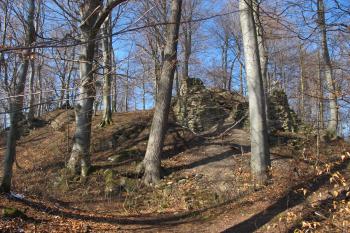 Panoráma hradu od jv. (© Dušan Dohňanský 03/2020)