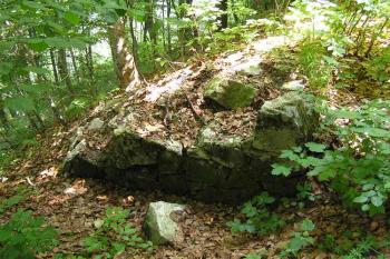 Část obvodové hradby podhradí (© Jan P. Štěpánek 06/2006)