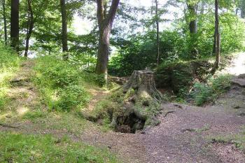 Panorama pozůstatků východního paláce (© Jan P. Štěpánek 06/2006)