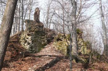 pozůstatky pilířů předbraní vlastního jádra ( © Jan P. Štěpánek 03/2008)